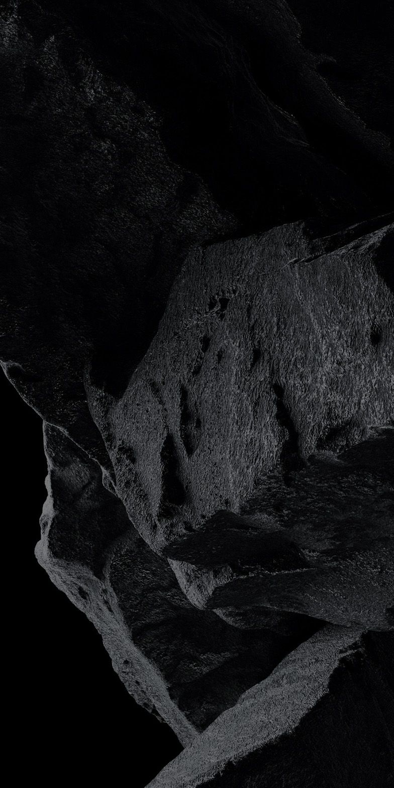 Bolovani întunecați